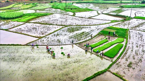 EVN ĐÃ HOÀN THÀNH TỐT VIỆC CẤP NƯỚC TỪ CÁC HỒ THỦY ĐIỆN PHỤC VỤ SẢN XUẤT NÔNG NGHIỆP VỤ ĐÔNG XUÂN 2023 CHO TRUNG DU VÀ ĐỒNG BẰNG BẮC BỘ